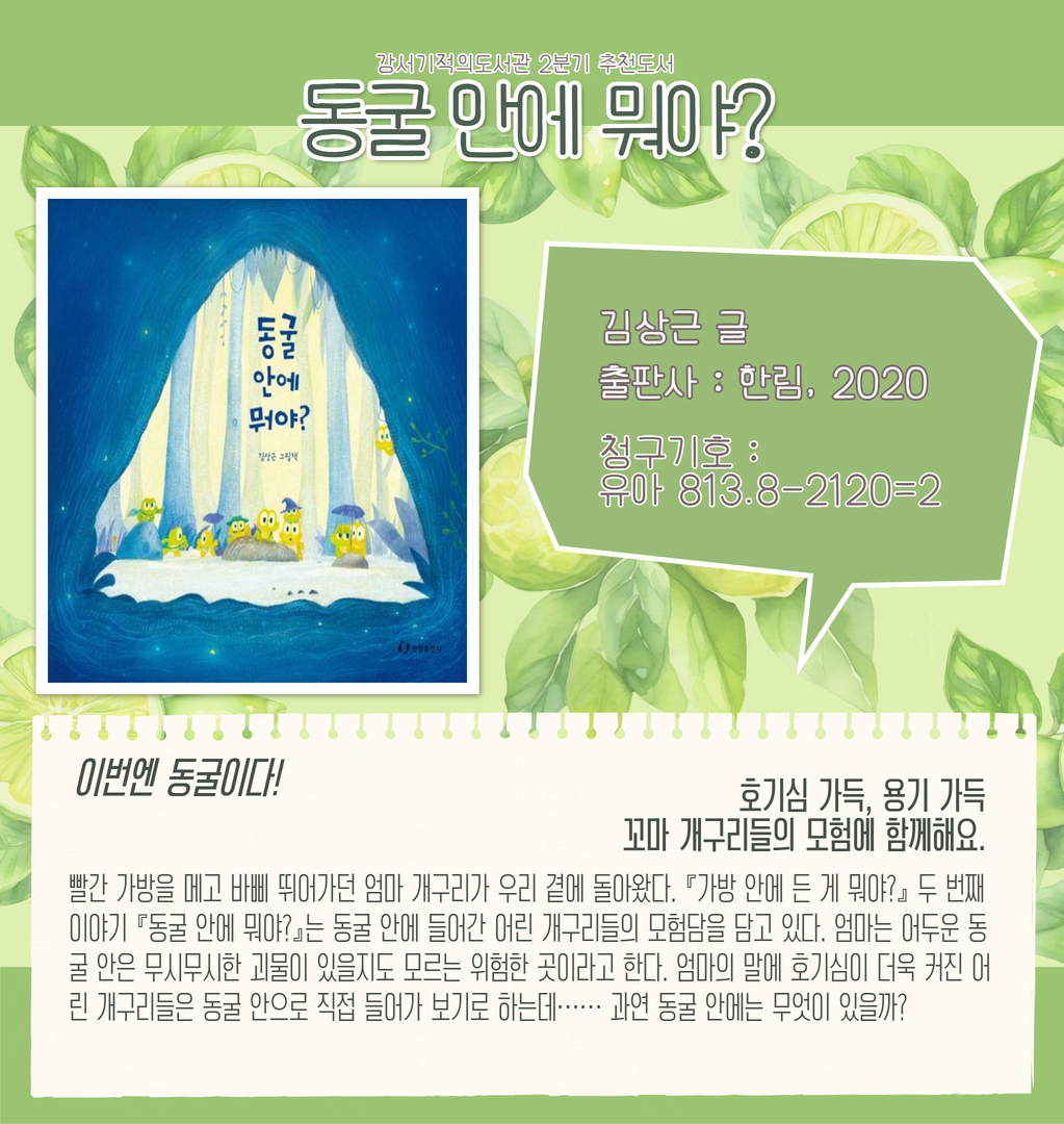 동굴 안에 뭐야? 